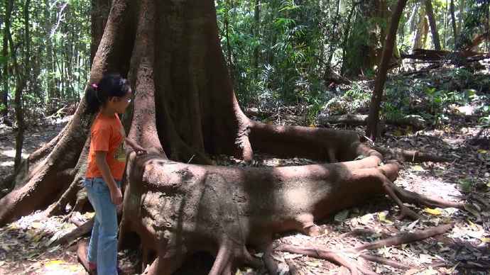 You are currently viewing 再见，Lillydal