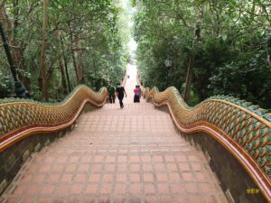 Read more about the article 测试版本