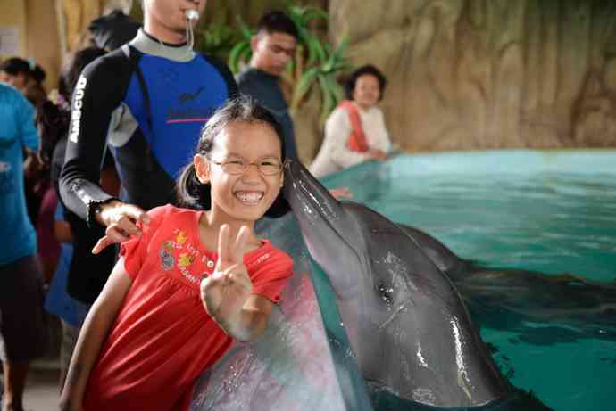 You are currently viewing 雅加达Ancole Dreamland Park