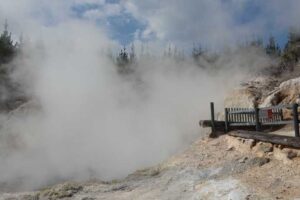 Read more about the article 新西兰假期(十二)2015.12.06 地热之乡–罗托鲁阿Rotorua(1)