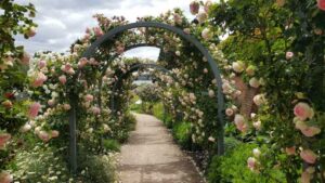 Read more about the article 2016年12月3日 塔斯马尼亚之 Hobart – 返回 Melbourne