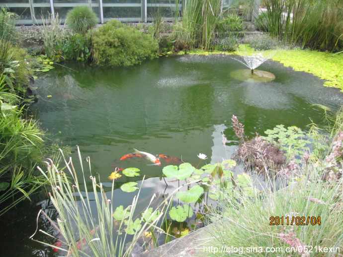 You are currently viewing HortPark