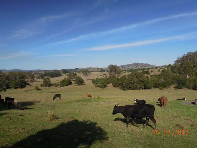 You are currently viewing 澳洲农场—Lillydale (2012.12.14-16)