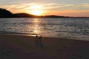 Read more about the article 2013年11月27日 Port Stephens海滩