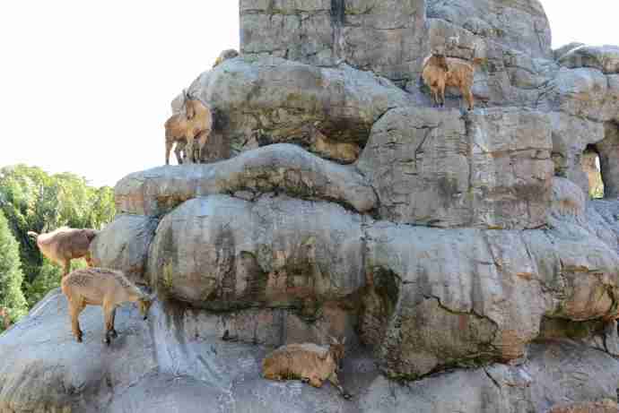 You are currently viewing 悉尼动物园 TARONGA ZOO （2013.11.26）