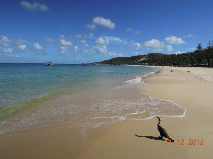 You are currently viewing 澳洲行2012.12.9-17“Tangalooma海豚岛”