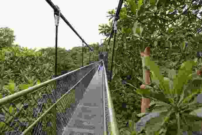 You are currently viewing 麦里芝水库的树顶吊桥（TreeTop Walk）