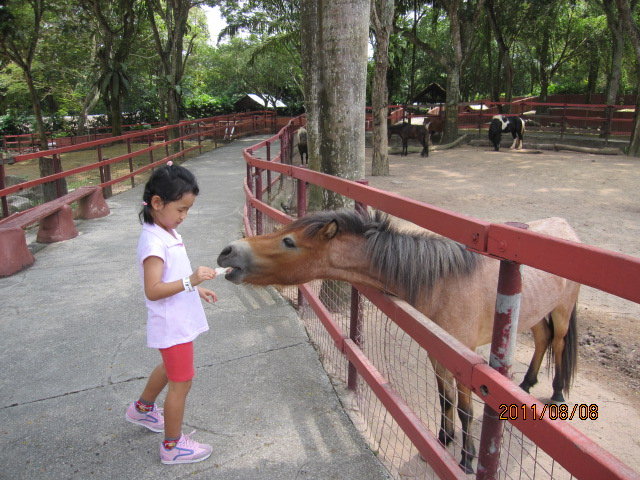 You are currently viewing 有趣的野生动物园