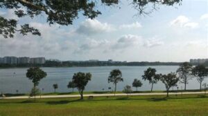 Read more about the article 勿洛蓄水池（Bedok Resevoir）