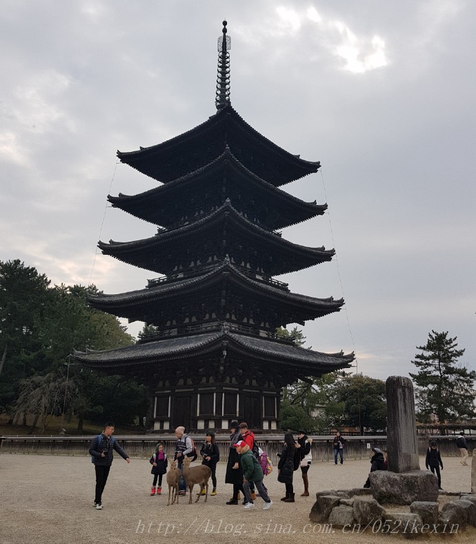 2017.12.16日本奈良（一）——奈良公园、东大寺、春日大社