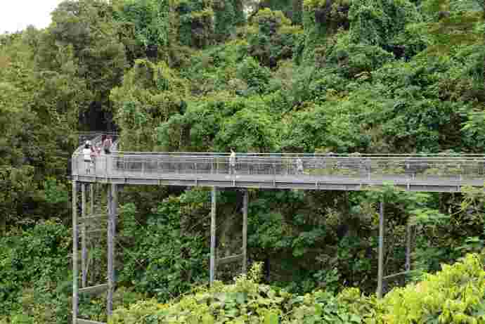 You are currently viewing 南部山脊的亨德申波浪桥（Henderson Waves）和丛林走道（Forest Walk）