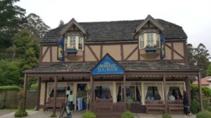 Read more about the article 2016年12月5日  澳大利亚墨尔本（Melbourne）- 丹顿农山脉公园（Mount Dandenong Ranges）