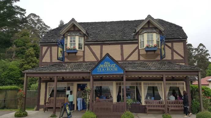 2016年12月5日  澳大利亚墨尔本（Melbourne）- 丹顿农山脉公园（Mount Dandenong Ranges）