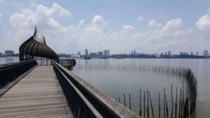 Read more about the article 双溪不落湿地自然保护区 Sungei Buloh Wetland Reserve