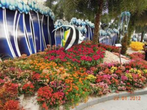 Read more about the article 2012春节花会