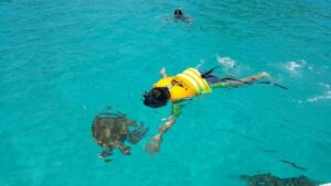 Read more about the article 2017年6月18日 马来西亚热浪岛（四）