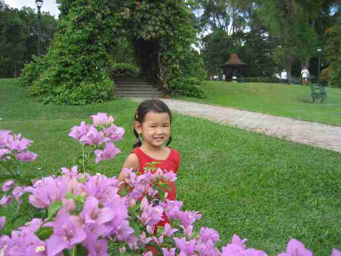 麦里芝蓄水池（MacRitchie Reservoir）