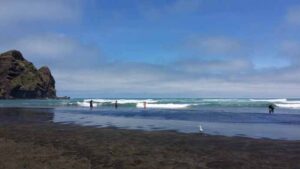 Read more about the article 新西兰假期（十四）2014.12.08 奥克兰市郊的黑沙滩