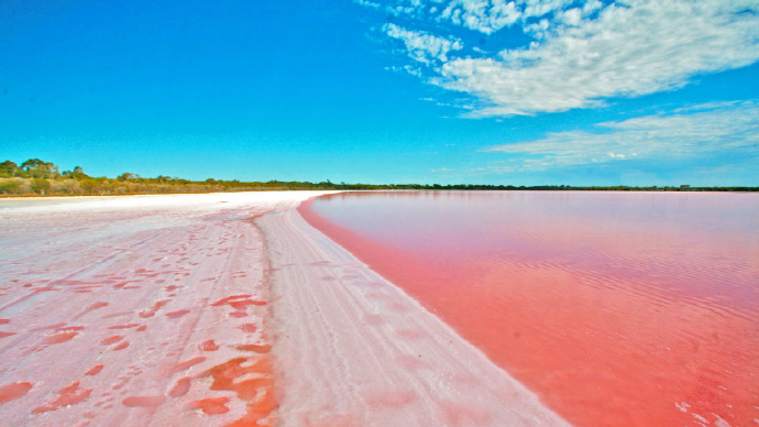 2016年11月27日 坎贝尔港（Port Campbell）- 粉红湖（Loch Lol）- 墨尔本