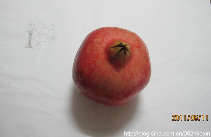 石榴 (2011-06-21 07:56:24)