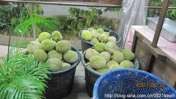 螃蟹、榴莲自助餐（The Ultimate Crab & Durian Buffet）